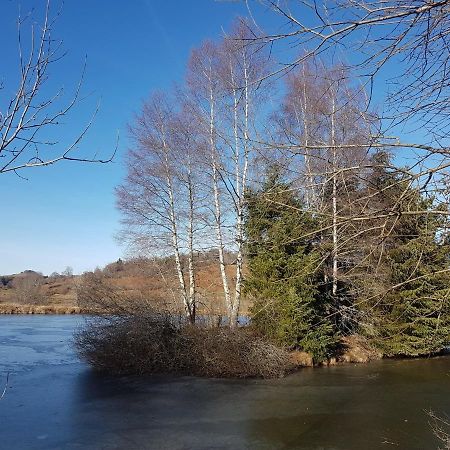 Fermette Typique Auvergnate Dans Son Ecrin D'Eau Et De Verdure Saint-Donat Kültér fotó