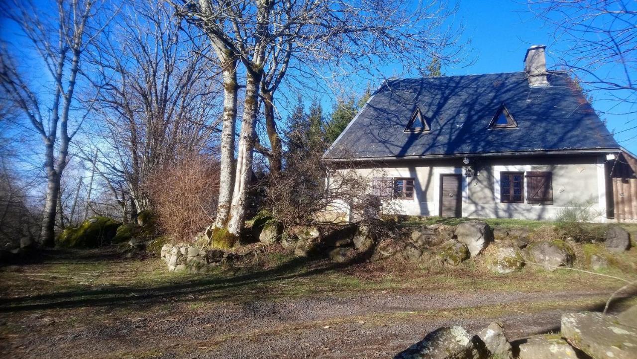 Fermette Typique Auvergnate Dans Son Ecrin D'Eau Et De Verdure Saint-Donat Kültér fotó