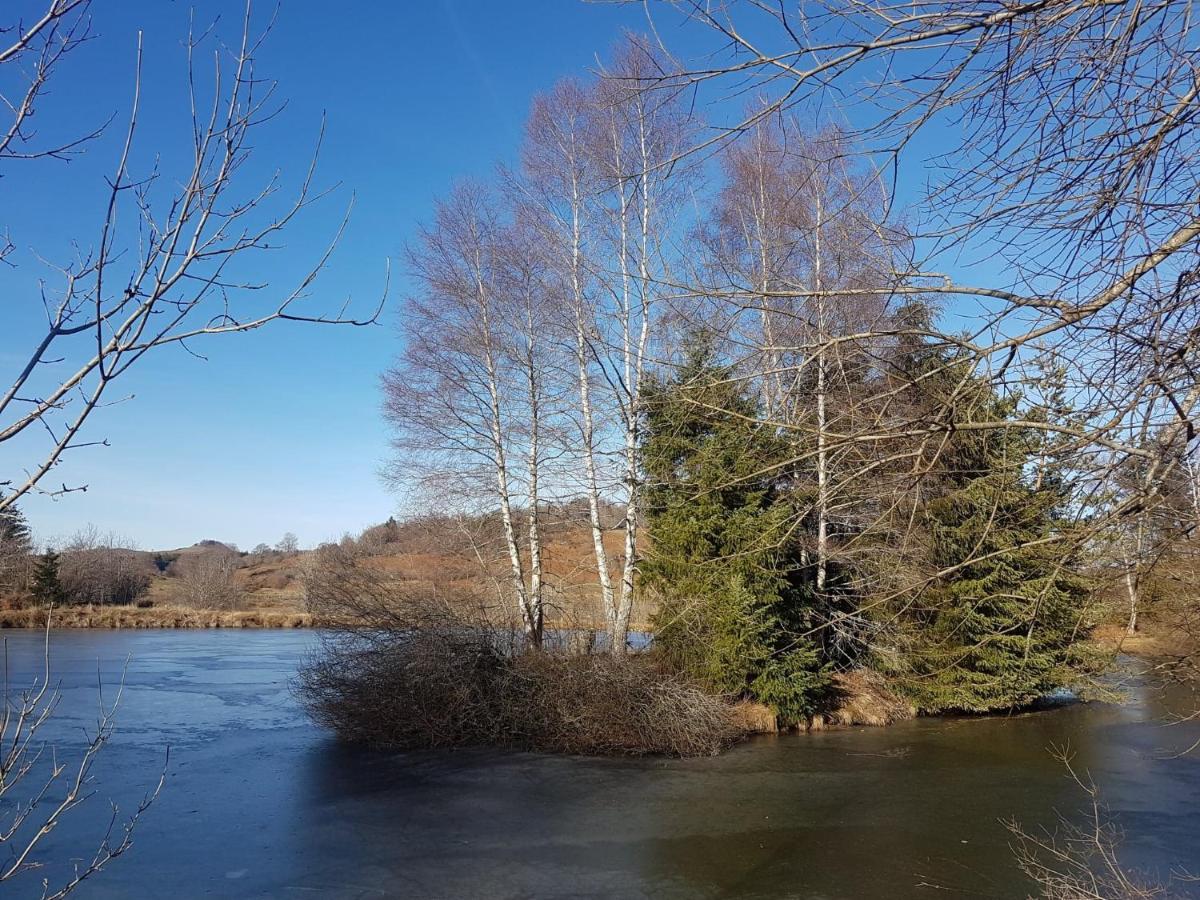 Fermette Typique Auvergnate Dans Son Ecrin D'Eau Et De Verdure Saint-Donat Kültér fotó