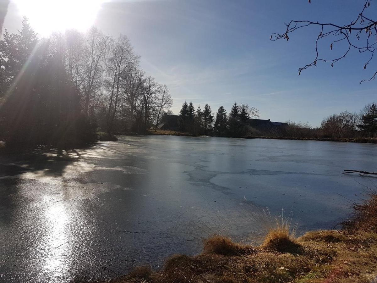 Fermette Typique Auvergnate Dans Son Ecrin D'Eau Et De Verdure Saint-Donat Kültér fotó